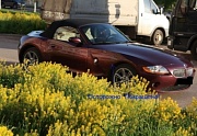 Отзыв BMW Z4